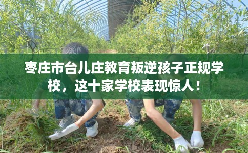 枣庄市台儿庄教育叛逆孩子正规学校，这十家学校表现惊人！