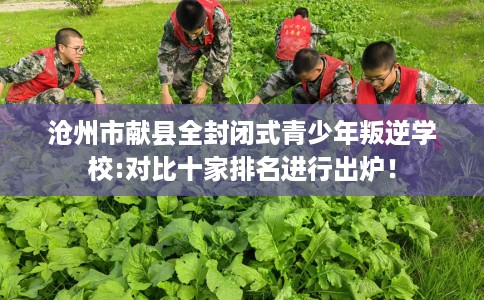 沧州市献县全封闭式青少年叛逆学校:对比十家排名进行出炉！