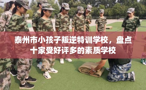 泰州市小孩子叛逆特训学校，盘点十家受好评多的素质学校