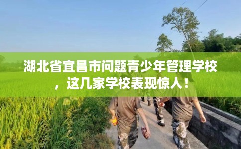湖北省宜昌市问题青少年管理学校，这几家学校表现惊人！