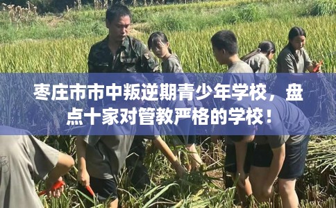 枣庄市市中叛逆期青少年学校，盘点十家对管教严格的学校！