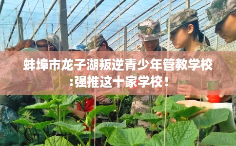 蚌埠市龙子湖叛逆青少年管教学校:强推这十家学校！