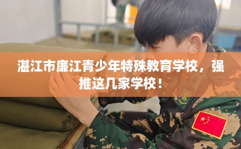 湛江市廉江青少年特殊教育学校,强推这几家学校! 湛江市廉江青少年特殊教育学校,强推这几家学校!