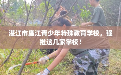 湛江市廉江青少年特殊教育学校,强推这几家学校! 湛江市廉江青少年特殊教育学校,强推这几家学校!