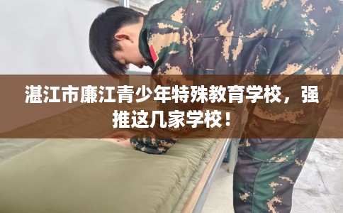 湛江市廉江青少年特殊教育学校，强推这几家学校！