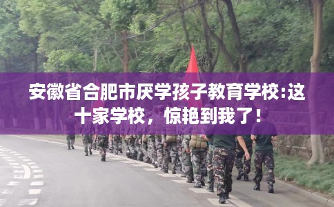 安徽省合肥市厌学孩子教育学校:这十家学校,惊艳到我了! 安徽省合肥市厌学孩子教育学校:这十家学校,惊艳到我了!