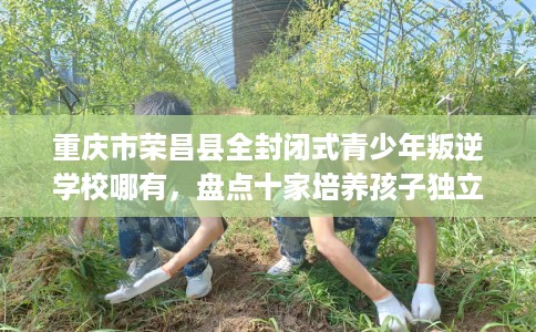 重庆市荣昌县全封闭式青少年叛逆学校哪有，盘点十家培养孩子独立能力学校！