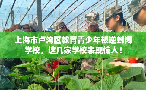 上海市卢湾区教育青少年叛逆封闭学校,这几家学校表现惊人! 上海市卢湾区教育青少年叛逆封闭学校,这几家学校表现惊人!