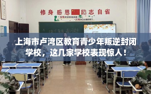 上海市卢湾区教育青少年叛逆封闭学校，这几家学校表现惊人！
