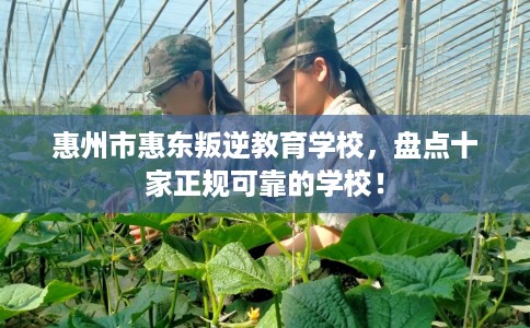 惠州市惠东叛逆教育学校，盘点十家正规可靠的学校！
