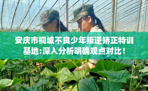 安庆市桐城不良少年叛逆矫正特训基地:深入分析明确观点对比! 安庆市桐城不良少年叛逆矫正特训基地:深入分析明确观点对比!