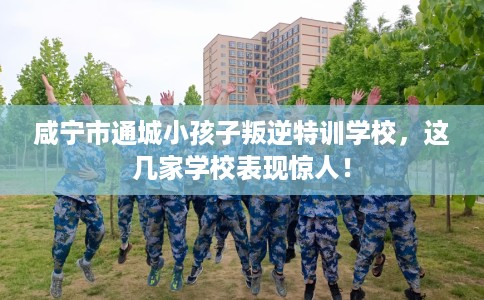 咸宁市通城小孩子叛逆特训学校,这几家学校表现惊人! 咸宁市通城小孩子叛逆特训学校,这几家学校表现惊人!