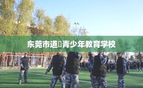 东莞市道滘青少年教育学校 东莞市道滘青少年教育学校