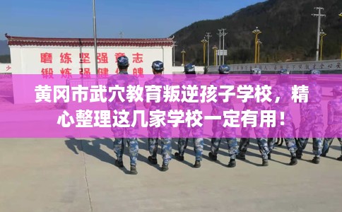 黄冈市武穴教育叛逆孩子学校,精心整理这几家学校一定有用! 黄冈市武穴教育叛逆孩子学校,精心整理这几家学校一定有用!
