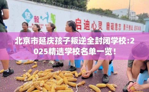 北京市延庆孩子叛逆全封闭学校:2025精选学校名单一览！
