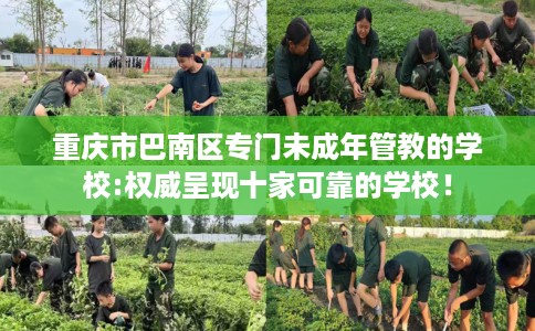 重庆市巴南区专门未成年管教的学校:权威呈现十家可靠的学校! 重庆市巴南区专门未成年管教的学校:权威呈现十家可靠的学校!