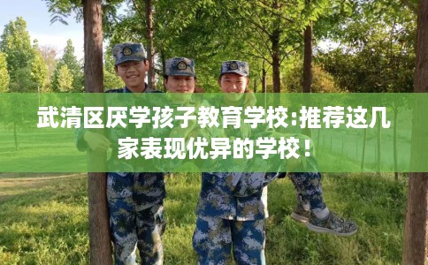 武清区厌学孩子教育学校:推荐这几家表现优异的学校！