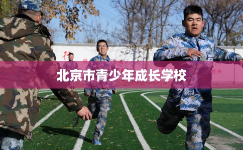 北京市青少年成长学校 北京市青少年成长学校