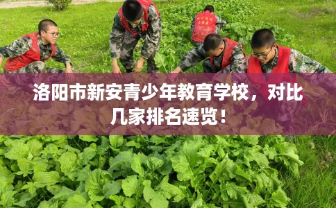 洛阳市新安青少年教育学校，对比几家排名速览！