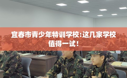 宜春市青少年特训学校:这几家学校值得一试！
