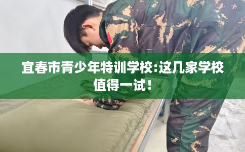 宜春市青少年特训学校:这几家学校值得一试！
