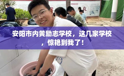 安阳市内黄励志学校，这几家学校，惊艳到我了！