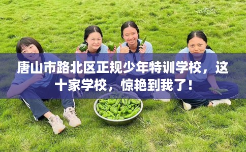 唐山市路北区正规少年特训学校，这十家学校，惊艳到我了！
