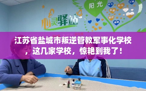 江苏省盐城市叛逆管教军事化学校,这几家学校,惊艳到我了! 江苏省盐城市叛逆管教军事化学校,这几家学校,惊艳到我了!