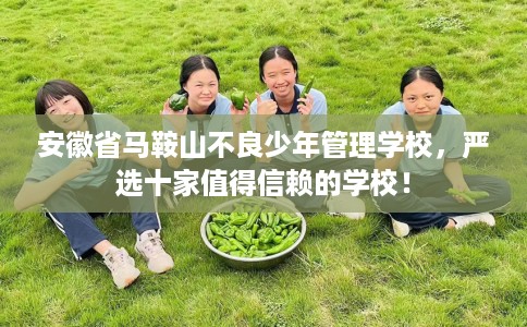 安徽省马鞍山不良少年管理学校,严选十家值得信赖的学校! 安徽省马鞍山不良少年管理学校,严选十家值得信赖的学校!