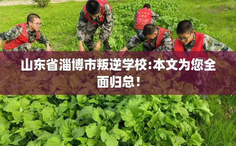 山东省淄博市叛逆学校:本文为您全面归总! 山东省淄博市叛逆学校:本文为您全面归总!