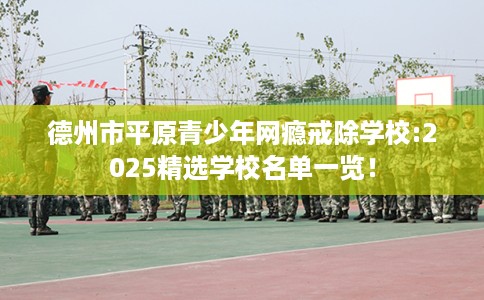 德州市平原青少年网瘾戒除学校:2025精选学校名单一览！