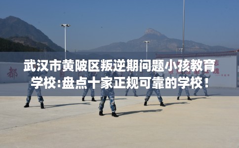 武汉市黄陂区叛逆期问题小孩教育学校:盘点十家正规可靠的学校! 武汉市黄陂区叛逆期问题小孩教育学校:盘点十家正规可靠的学校!