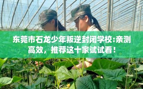 东莞市石龙少年叛逆封闭学校:亲测高效,推荐这十家试试看! 东莞市石龙少年叛逆封闭学校:亲测高效,推荐这十家试试看!