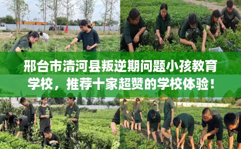 邢台市清河县叛逆期问题小孩教育学校，推荐十家超赞的学校体验！