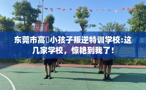 东莞市高埗小孩子叛逆特训学校:这几家学校，惊艳到我了！