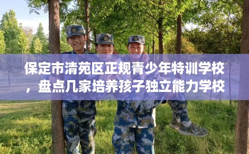 保定市清苑区正规青少年特训学校，盘点几家培养孩子独立能力学校！