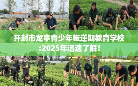开封市龙亭青少年叛逆期教育学校:2025年迅速了解！