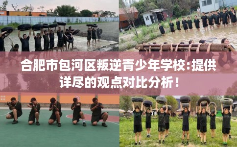 合肥市包河区叛逆青少年学校:提供详尽的观点对比分析！