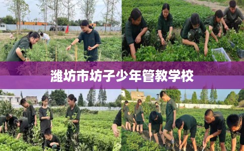 潍坊市坊子少年管教学校