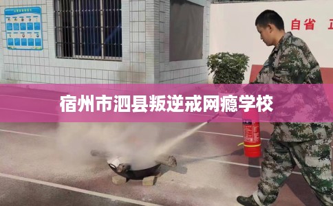 宿州市泗县叛逆戒网瘾学校 宿州市泗县叛逆戒网瘾学校