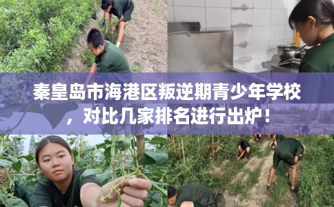 秦皇岛市海港区叛逆期青少年学校，对比几家排名进行出炉！
