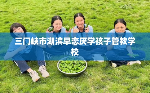三门峡市湖滨早恋厌学孩子管教学校