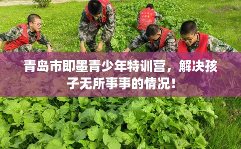 青岛市即墨青少年特训营,解决孩子无所事事的情况! 青岛市即墨青少年特训营,解决孩子无所事事的情况!