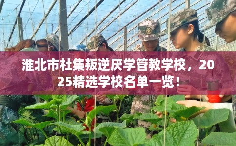 淮北市杜集叛逆厌学管教学校,2025精选学校名单一览! 淮北市杜集叛逆厌学管教学校,2025精选学校名单一览!