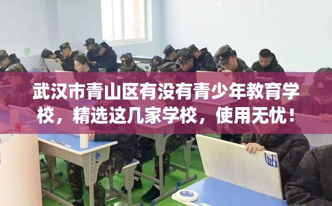 武汉市青山区有没有青少年教育学校,精选这几家学校,使用无忧! 武汉市青山区有没有青少年教育学校,精选这几家学校,使用无忧!