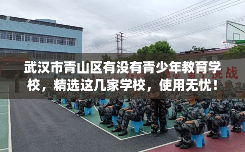 武汉市青山区有没有青少年教育学校，精选这几家学校，使用无忧！