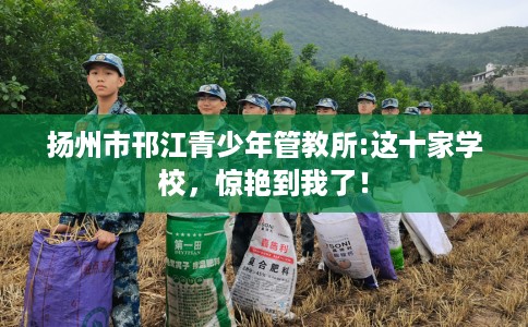 扬州市邗江青少年管教所:这十家学校,惊艳到我了! 扬州市邗江青少年管教所:这十家学校,惊艳到我了!