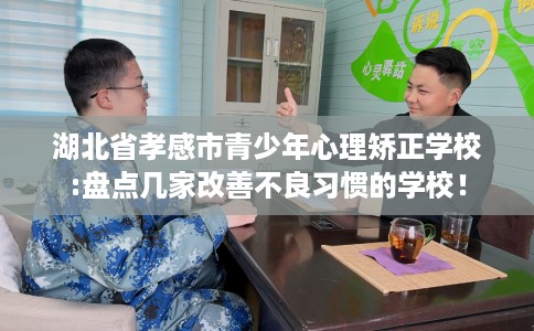 湖北省孝感市青少年心理矫正学校:盘点几家改善不良习惯的学校! 湖北省孝感市青少年心理矫正学校:盘点几家改善不良习惯的学校!