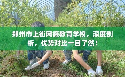 郑州市上街网瘾教育学校，深度剖析，优势对比一目了然！