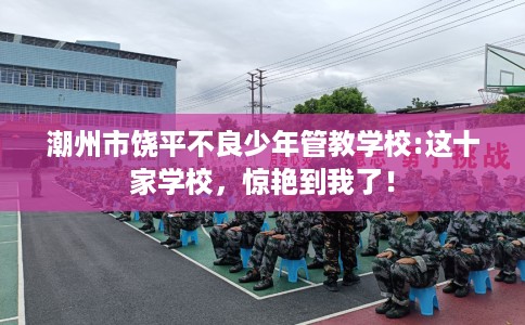 潮州市饶平不良少年管教学校:这十家学校，惊艳到我了！